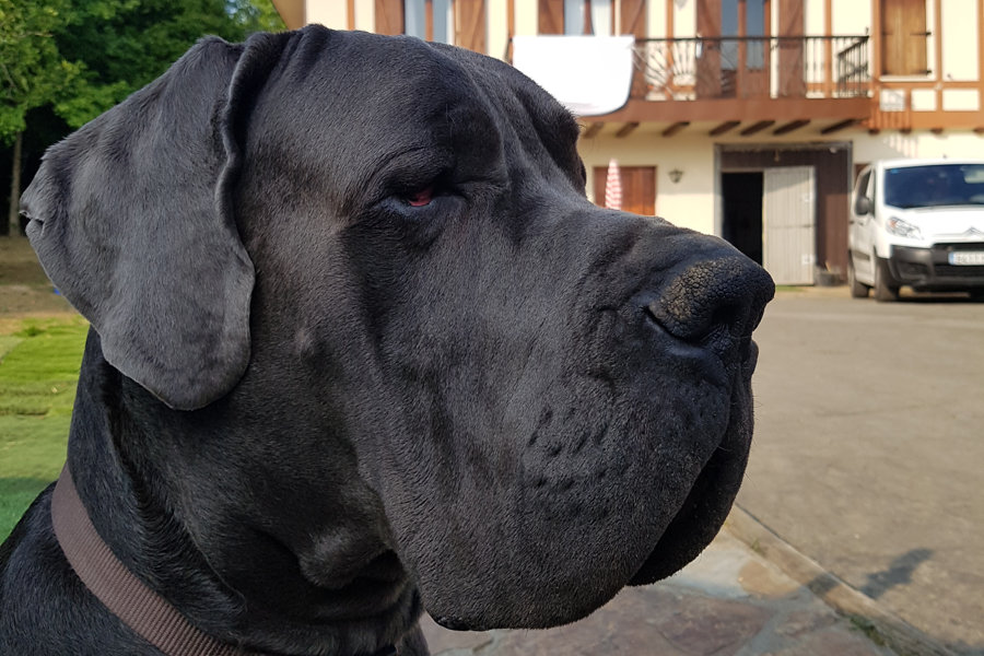 Artz De Itxas-Lur