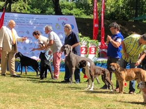 Artz De Itxas-Lur en el ring de honor de la Exposición Nacional de Bilbao 2018